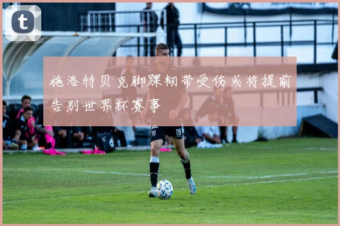 施洛特贝克脚踝韧带受伤或将提前告别世界杯赛事